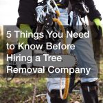 average cost of small tree removal