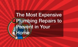 The Most Expensive Plumbing Repairs to Prevent in Your Home
